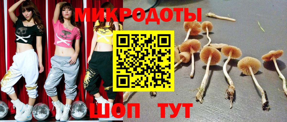 Чистополь  Псилоцибиновые грибы мухоморы  Вход с VPN  где найти наркотики  Псилоцибиновые грибы мухоморы 